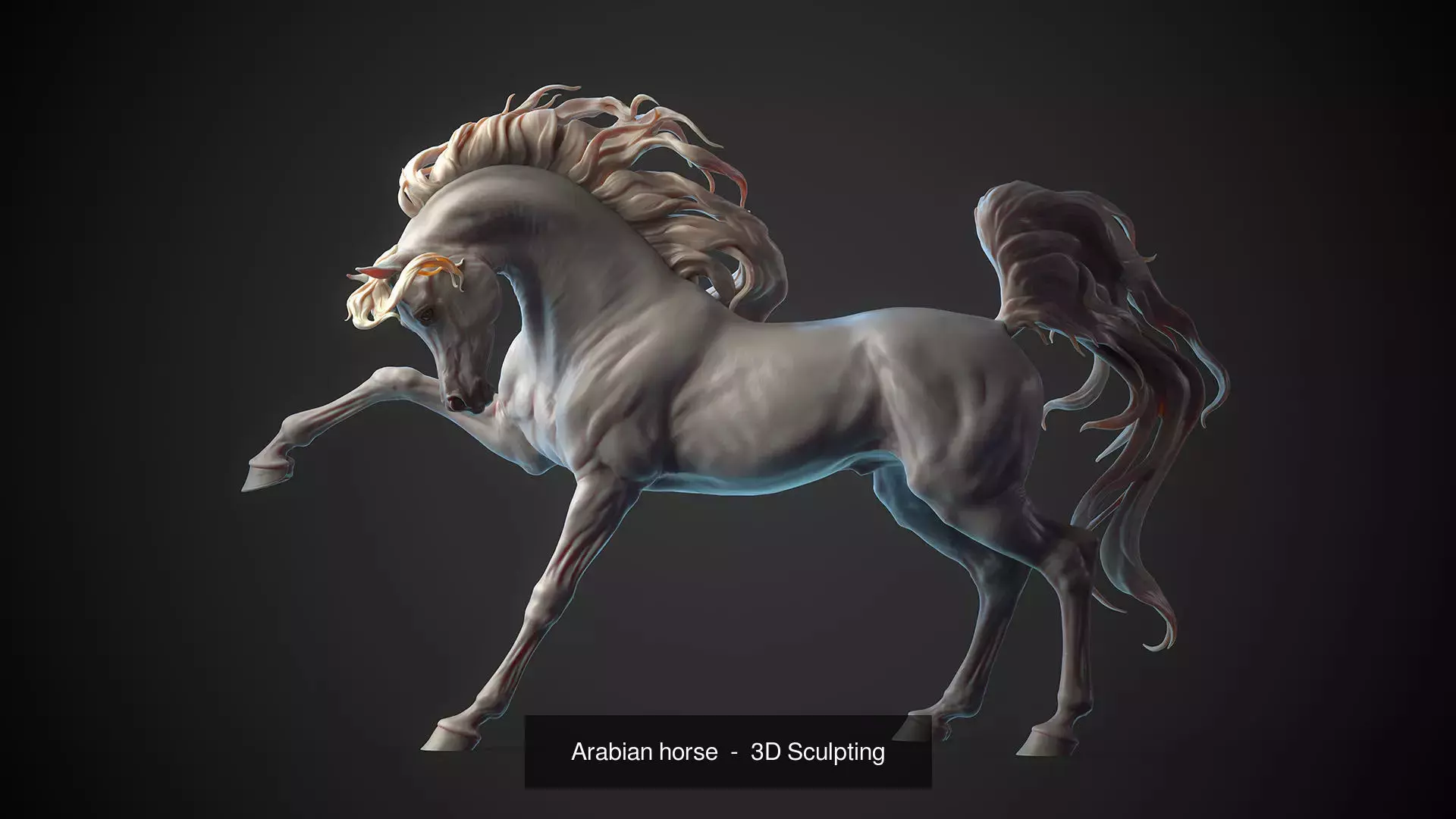 4 Arabian horse I 3D Sculpting 3D Model Collection_20