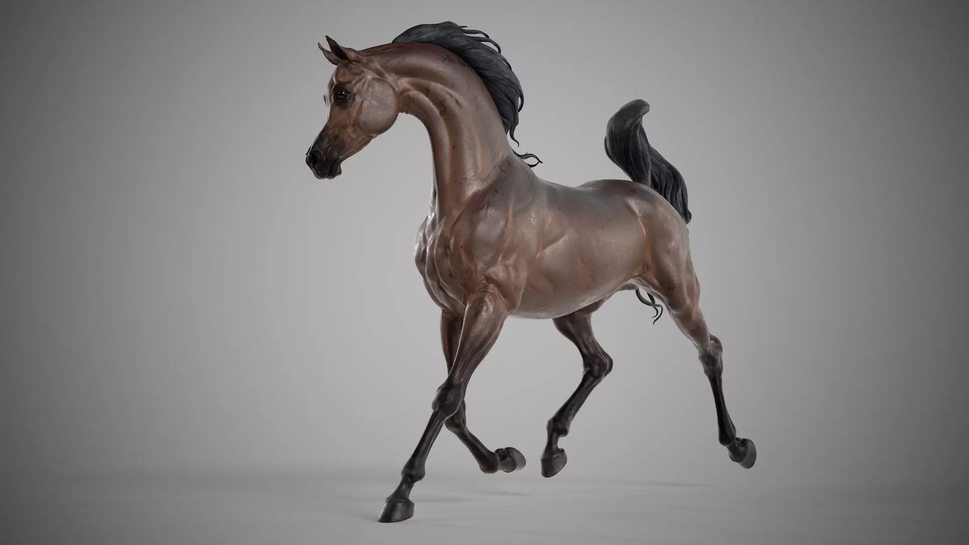 4 Arabian horse I 3D Sculpting 3D Model Collection_7