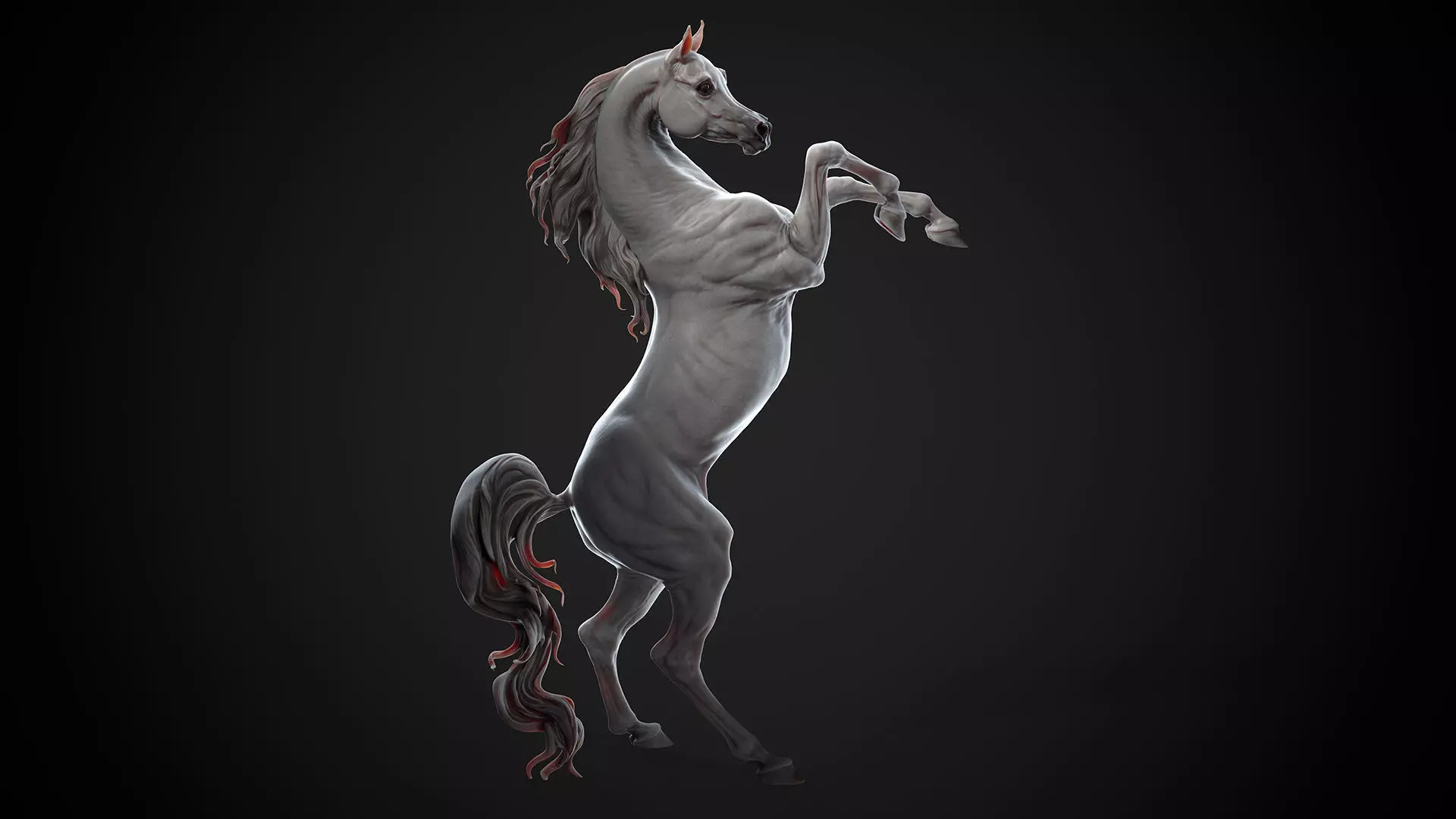 4 Arabian horse I 3D Sculpting 3D Model Collection_16