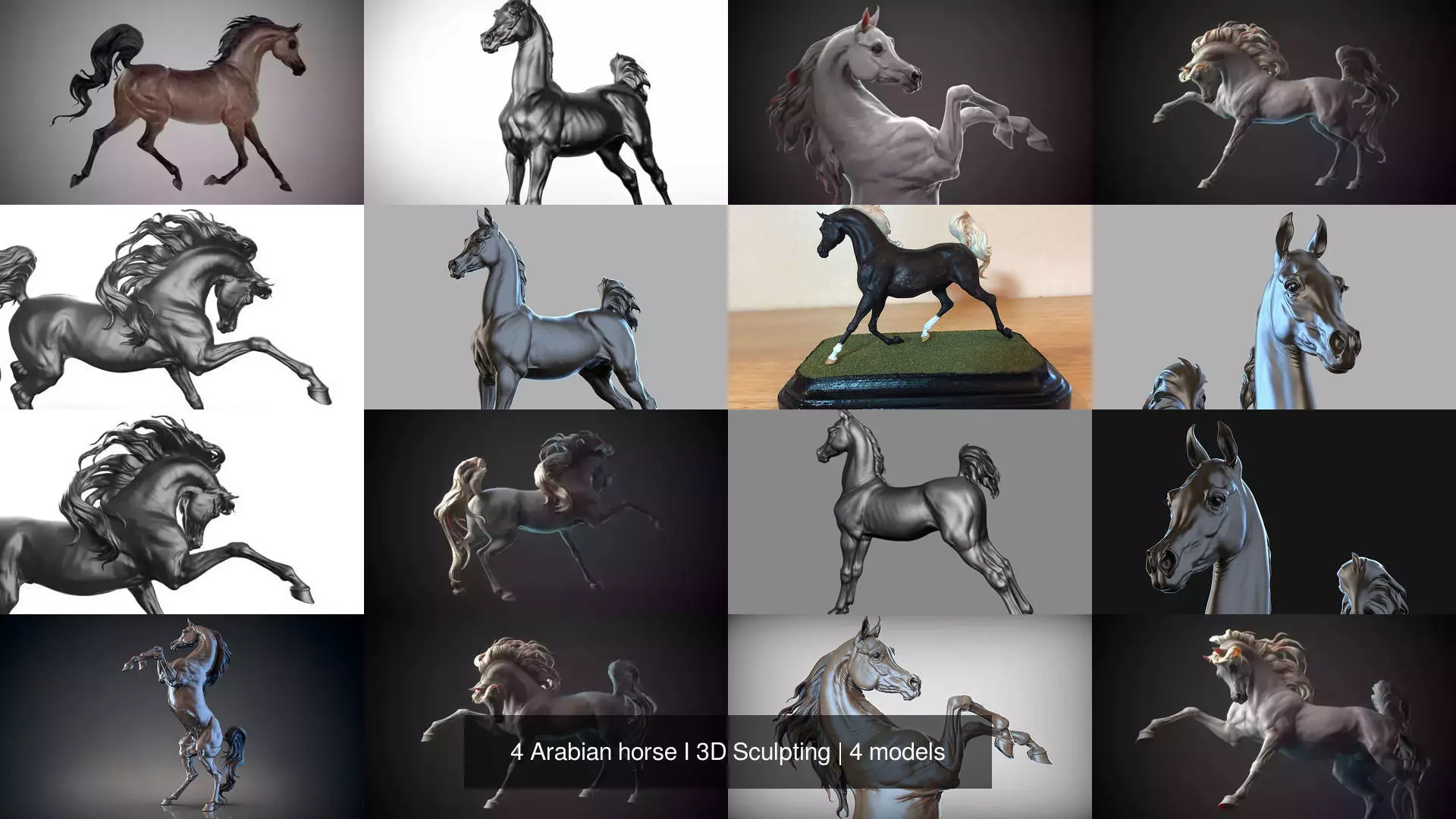4 Arabian horse I 3D Sculpting 3D Model Collection_4