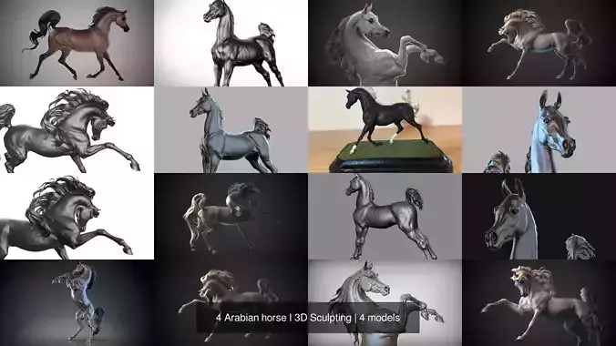 4 Arabian horse I 3D Sculpting