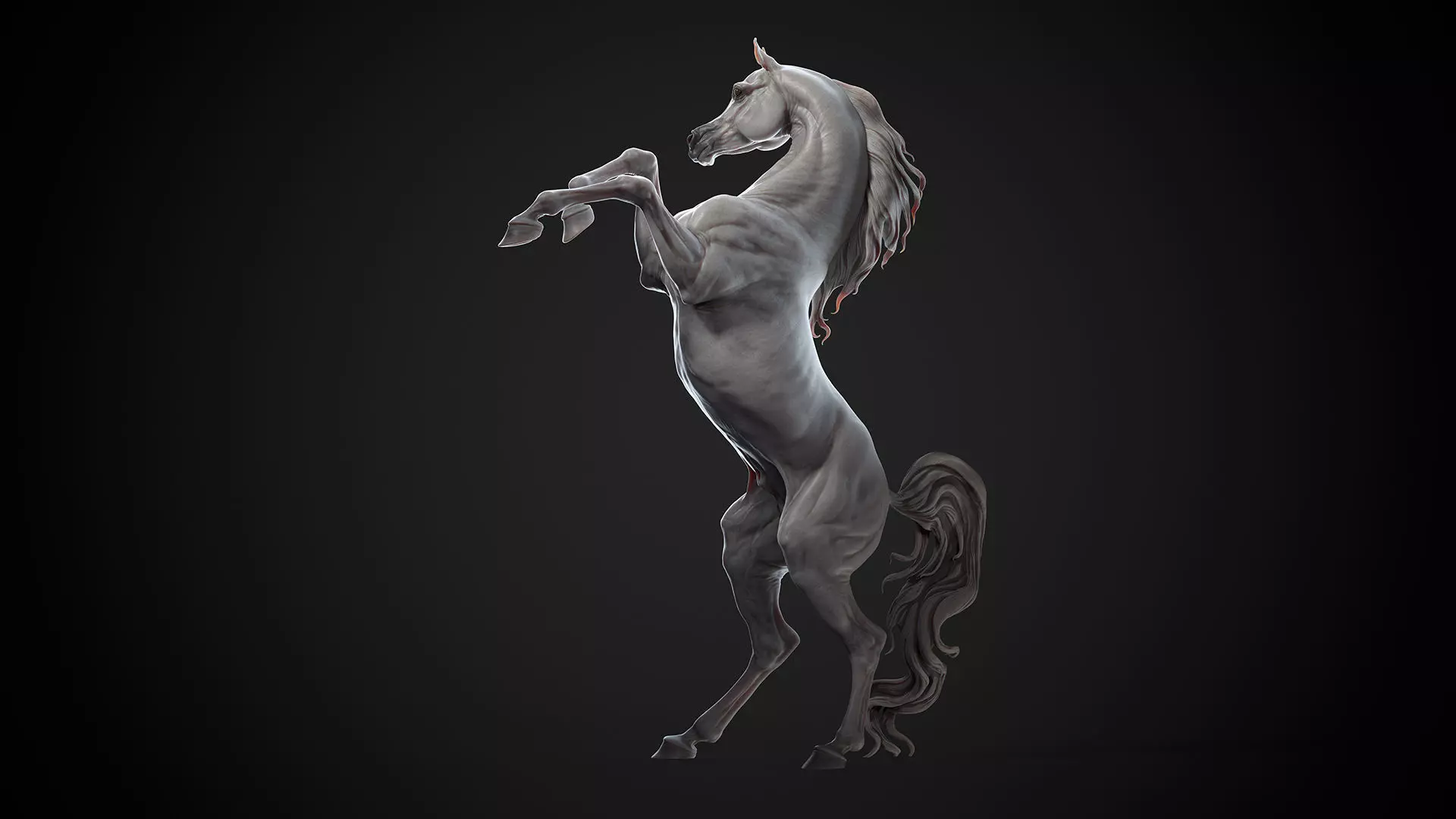 4 Arabian horse I 3D Sculpting 3D Model Collection_17