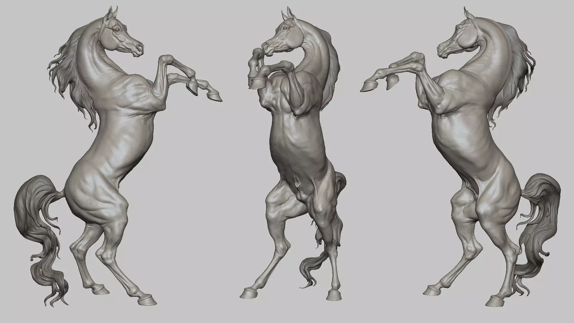 4 Arabian horse I 3D Sculpting 3D Model Collection_14