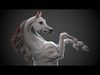 4 Arabian horse I 3D Sculpting 3D Model Collection_1