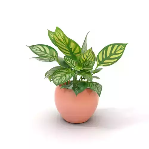 Green Foliage Plant model pack Low-poly 3D model