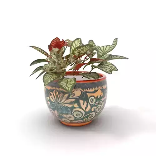 Ornate Ceramic Plant model pack