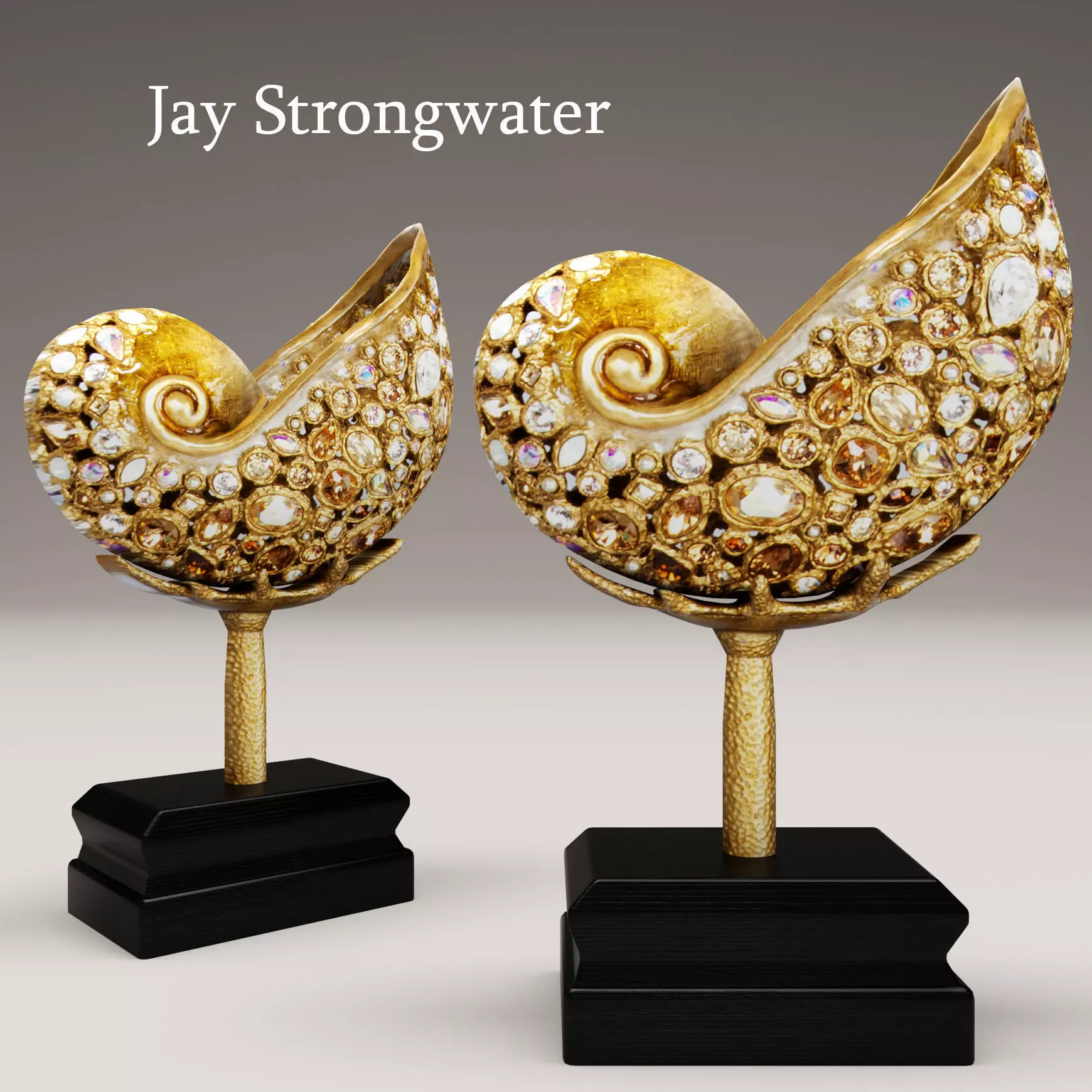 Jay Strongwater Nautilus Shell 3D model