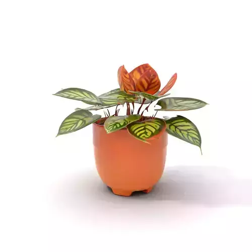 Vibrant Potted Plant model pack