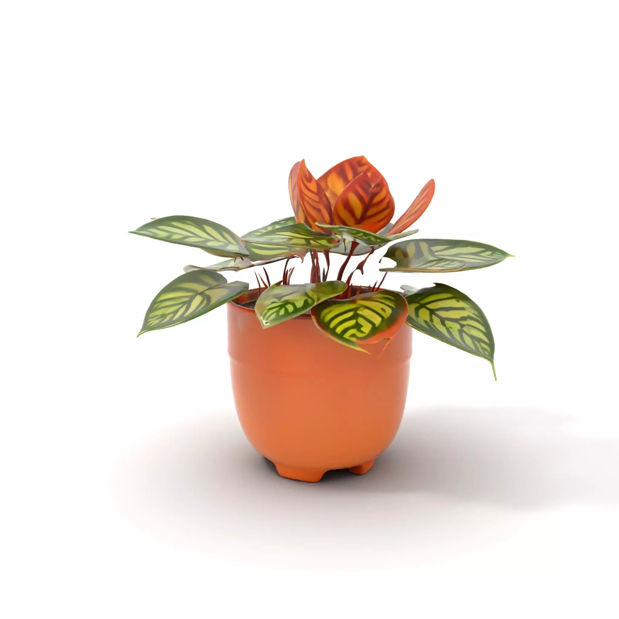 Vibrant Potted Plant model pack Low-poly 3D model_0