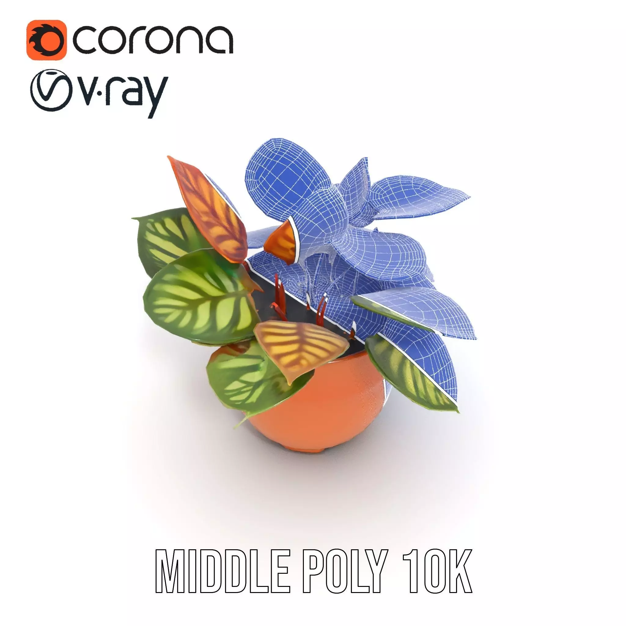 Vibrant Potted Plant model pack Low-poly 3D model_24