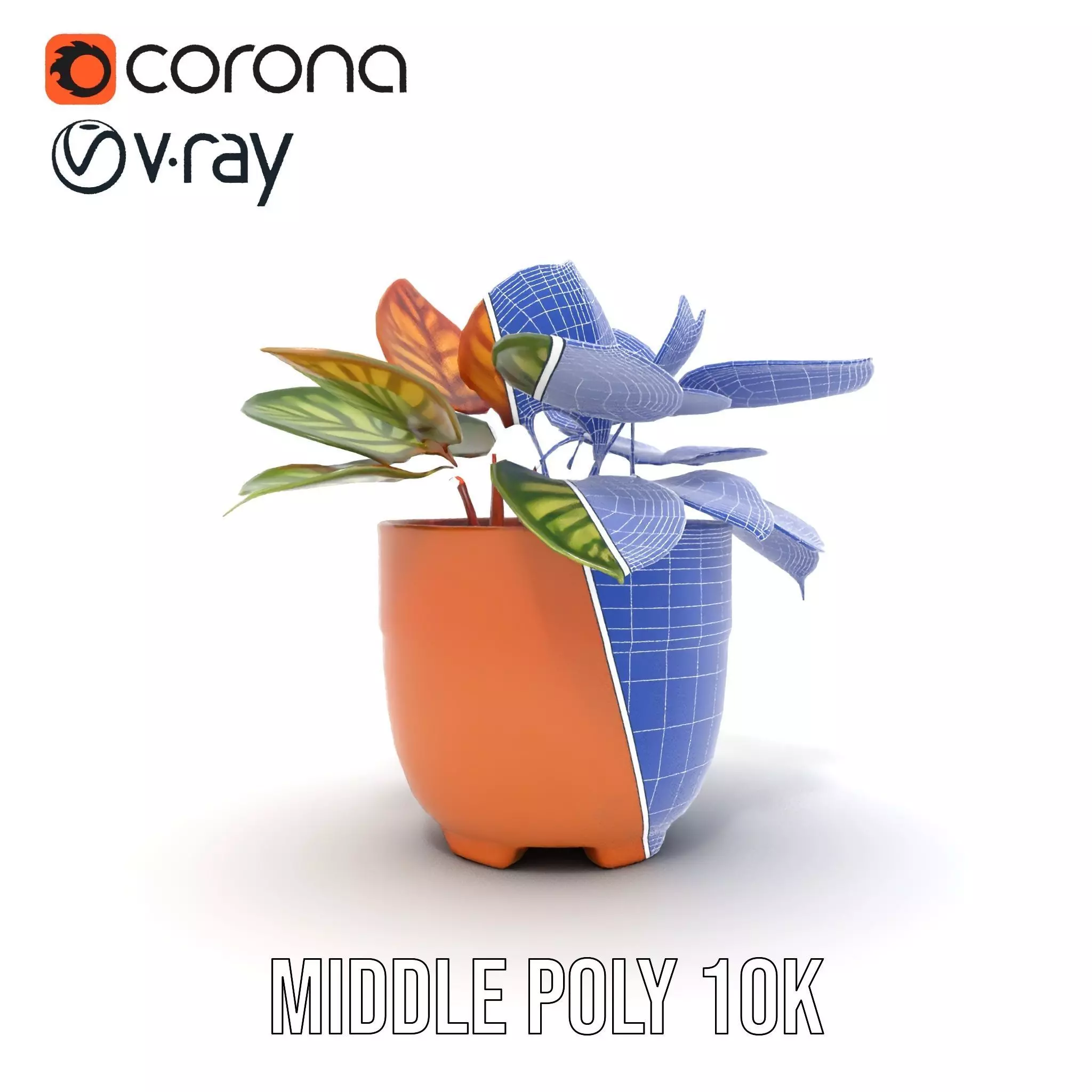 Vibrant Potted Plant model pack Low-poly 3D model_30