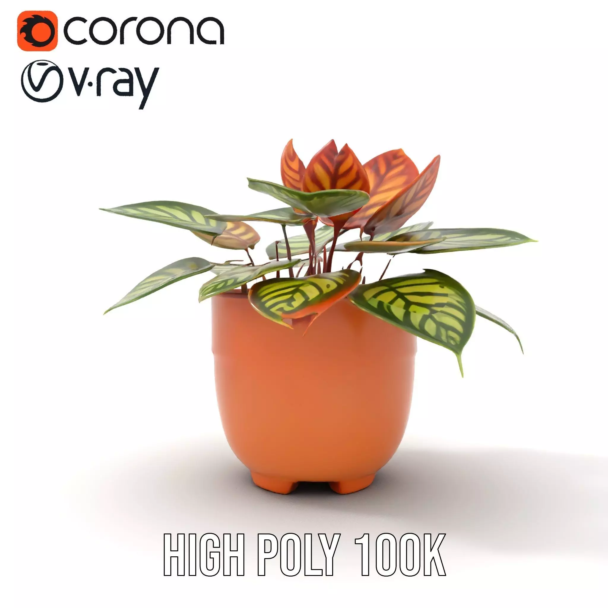 Vibrant Potted Plant model pack Low-poly 3D model_18