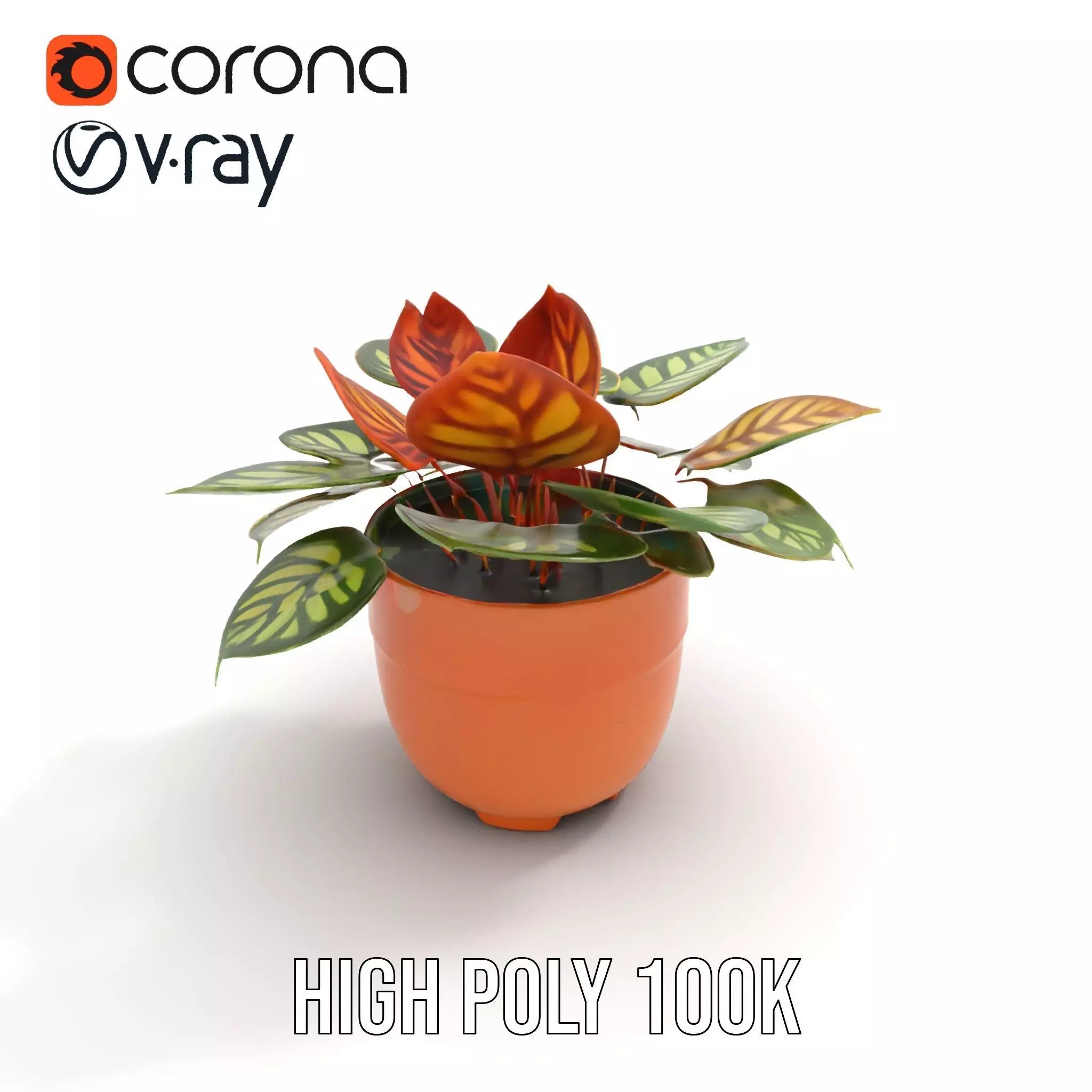 Vibrant Potted Plant model pack Low-poly 3D model_23