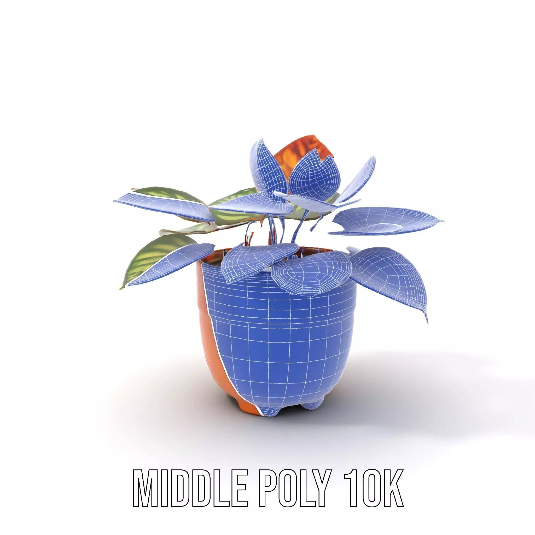 Vibrant Potted Plant model pack Low-poly 3D model_21