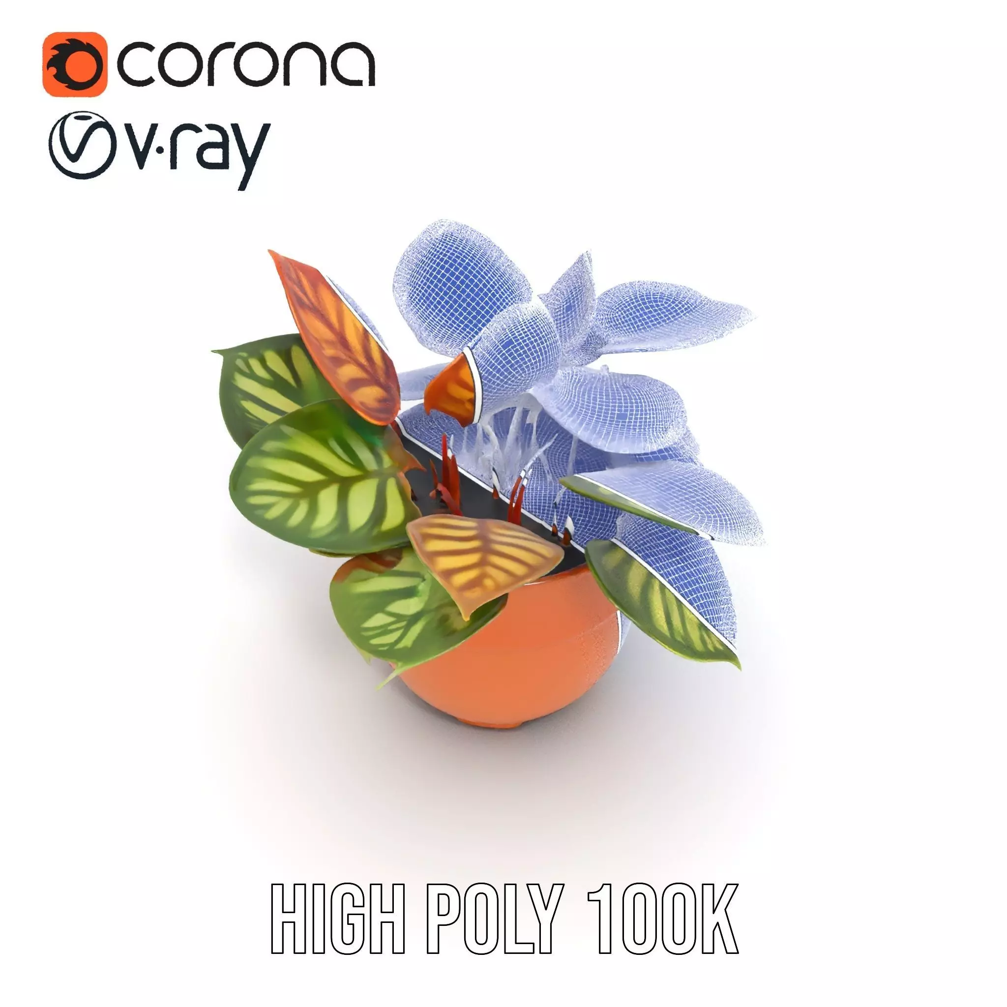 Vibrant Potted Plant model pack Low-poly 3D model_34