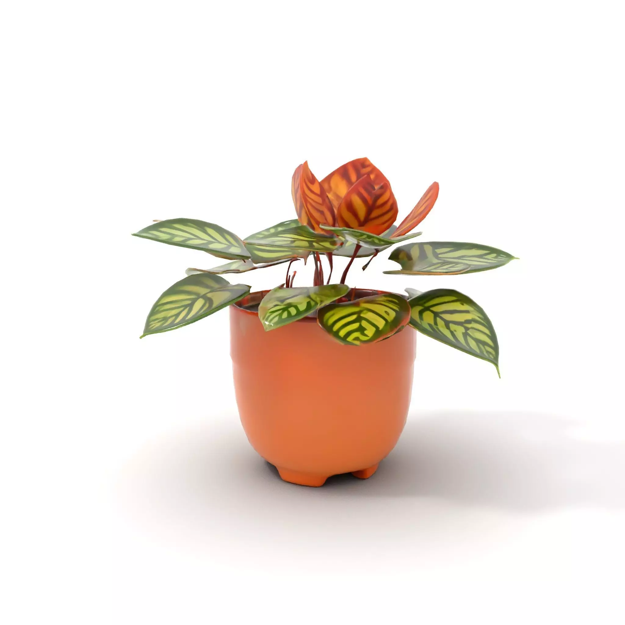 Vibrant Potted Plant model pack Low-poly 3D model_6