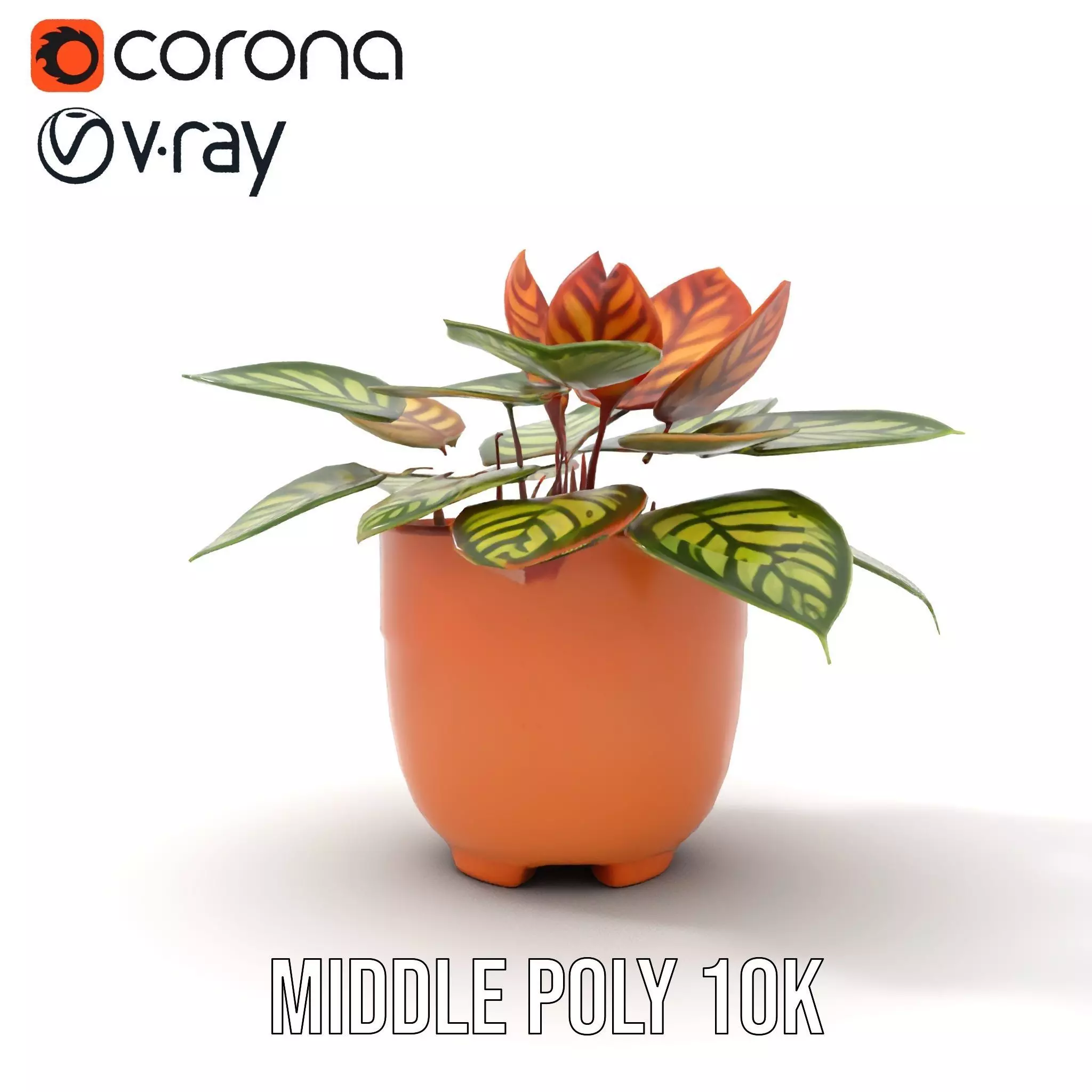 Vibrant Potted Plant model pack Low-poly 3D model_13