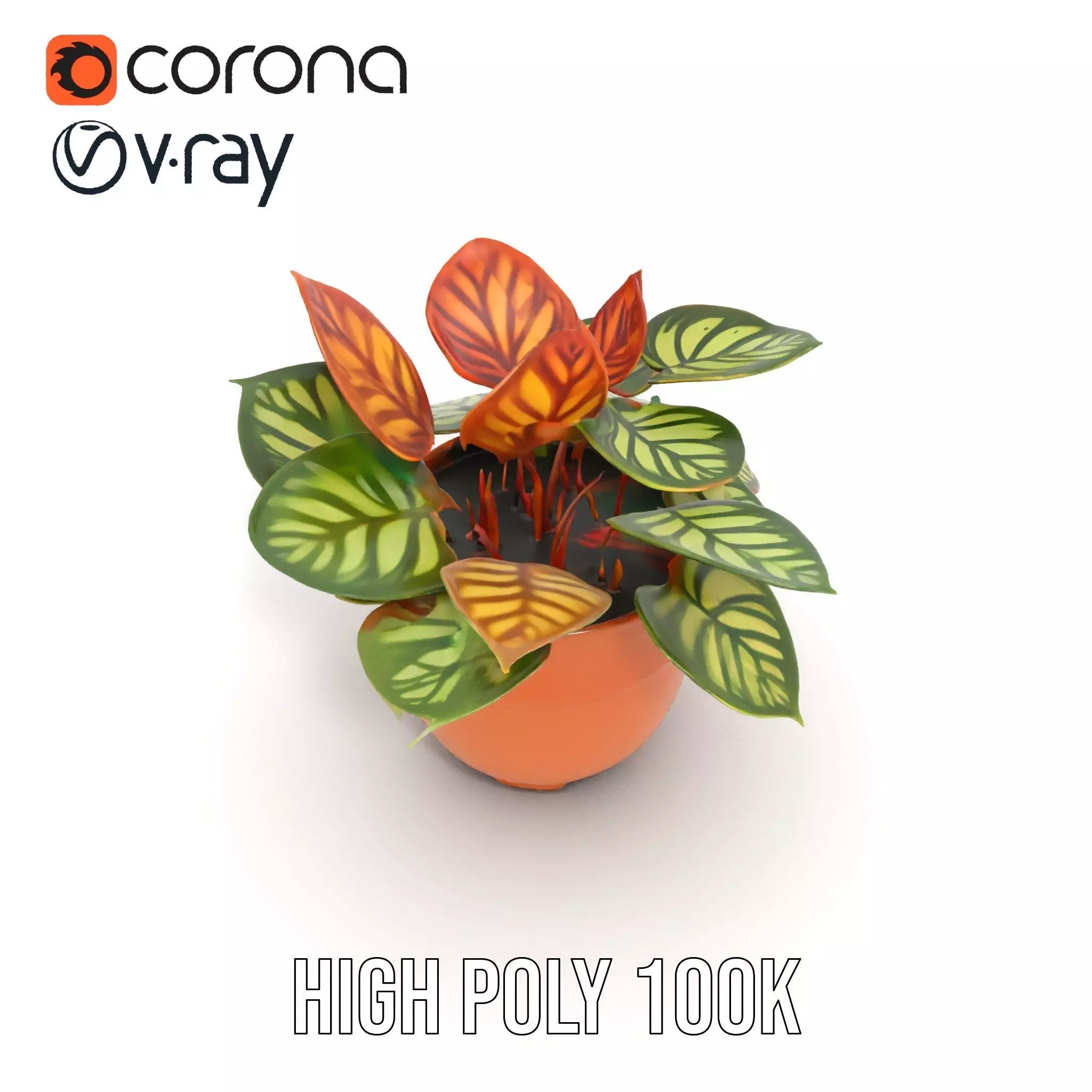 Vibrant Potted Plant model pack Low-poly 3D model_26