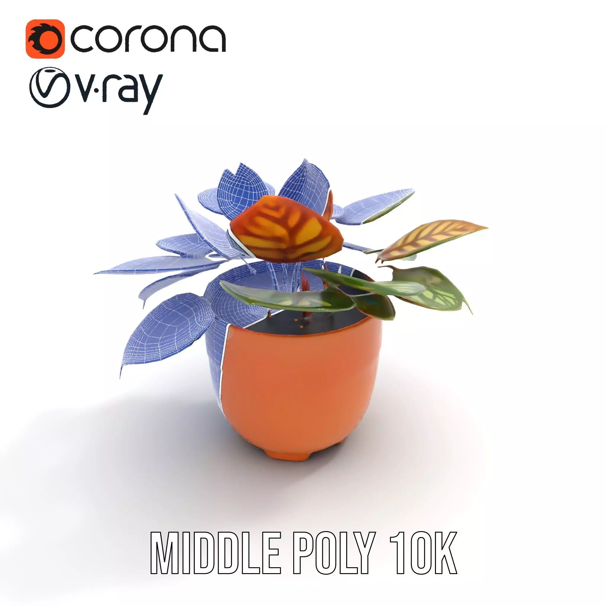 Vibrant Potted Plant model pack Low-poly 3D model_19