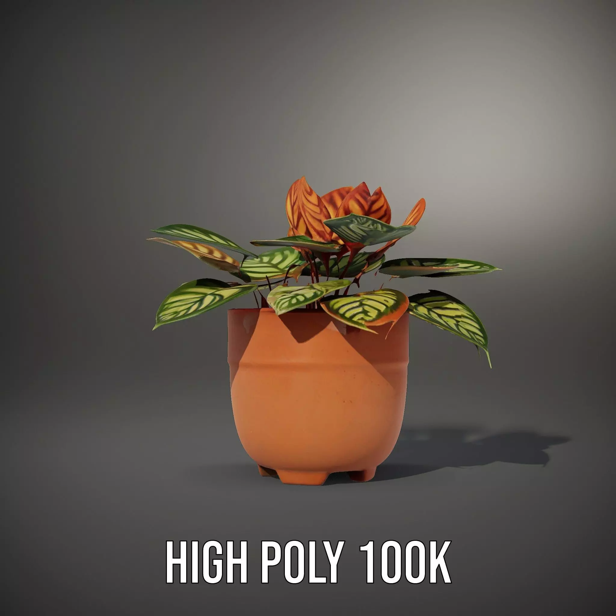 Vibrant Potted Plant model pack Low-poly 3D model_10