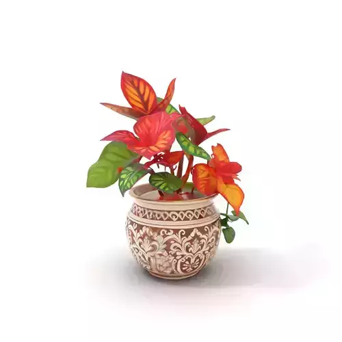 Vibrant Leafy Plant model pack