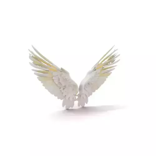 Elegant White Wings model pack