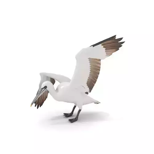 Gannet Bird model pack