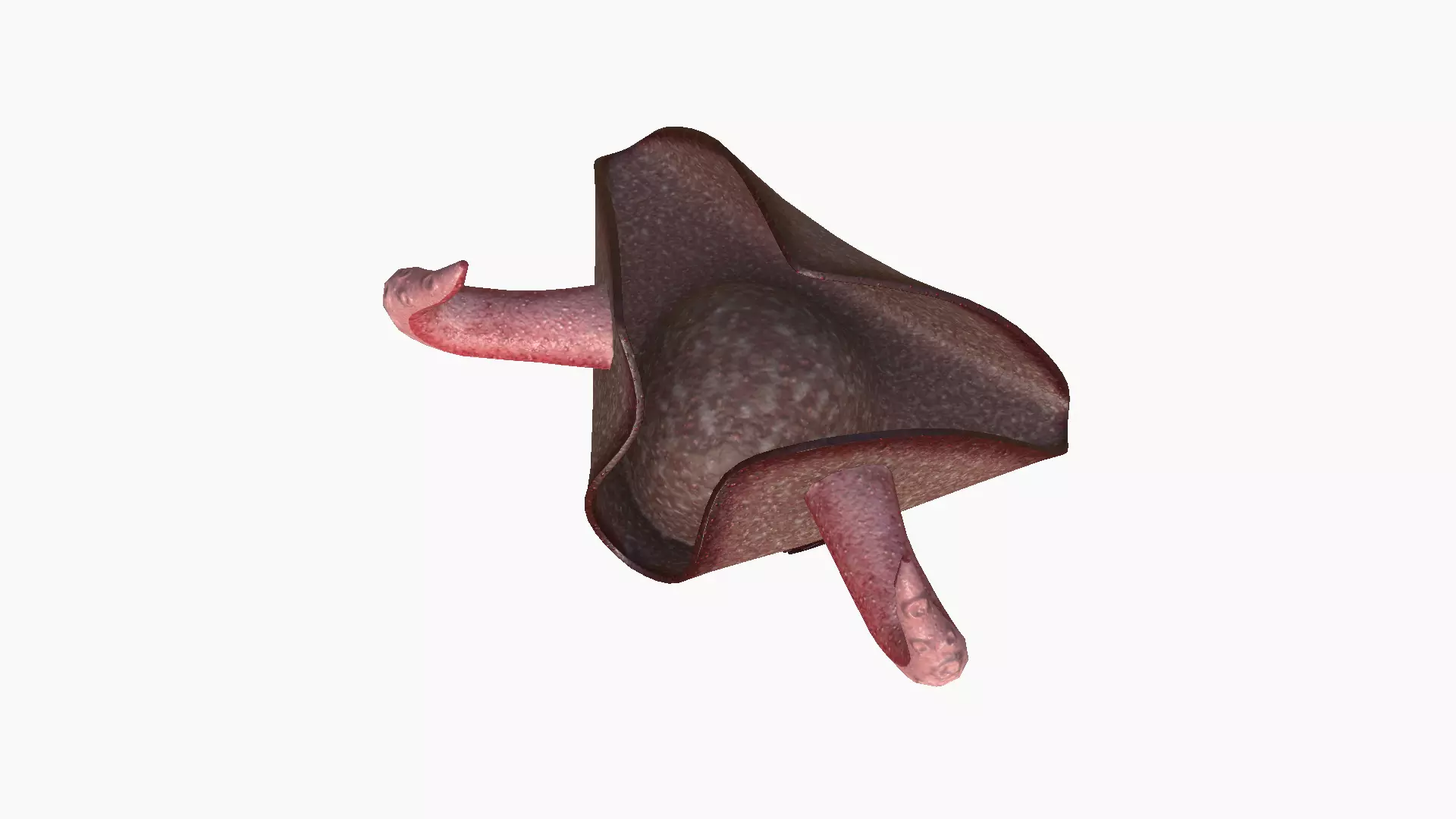 Satanic Pirate Hat A09 - Fantasy Character Design Low-poly 3D model_4