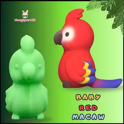 Baby Red Macaw