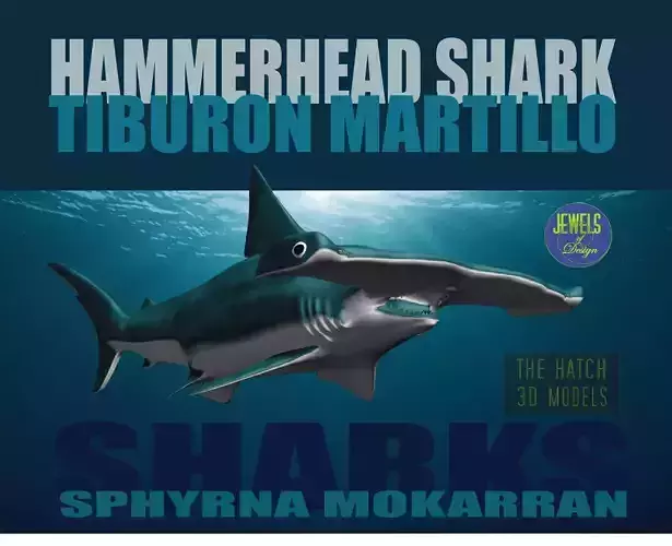 Hammerhead Shark 3D model