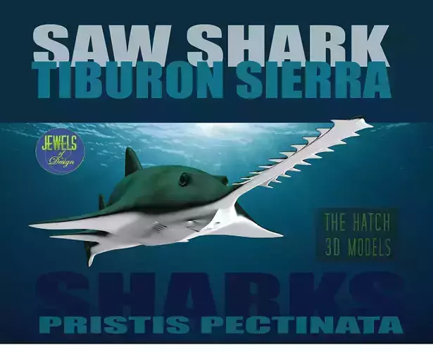 Saw Shark 3D model