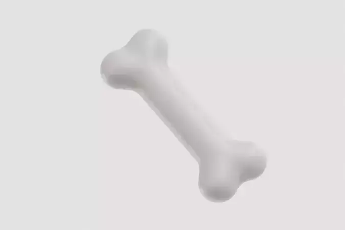 Bone 3d model