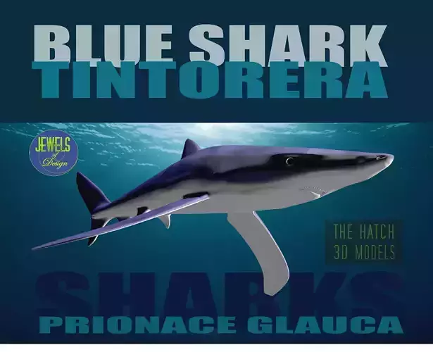 Blue Shark