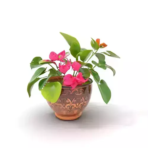 Floral Terracotta Pot model pack