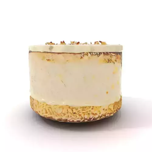 Coconut Vanilla Cake model pack