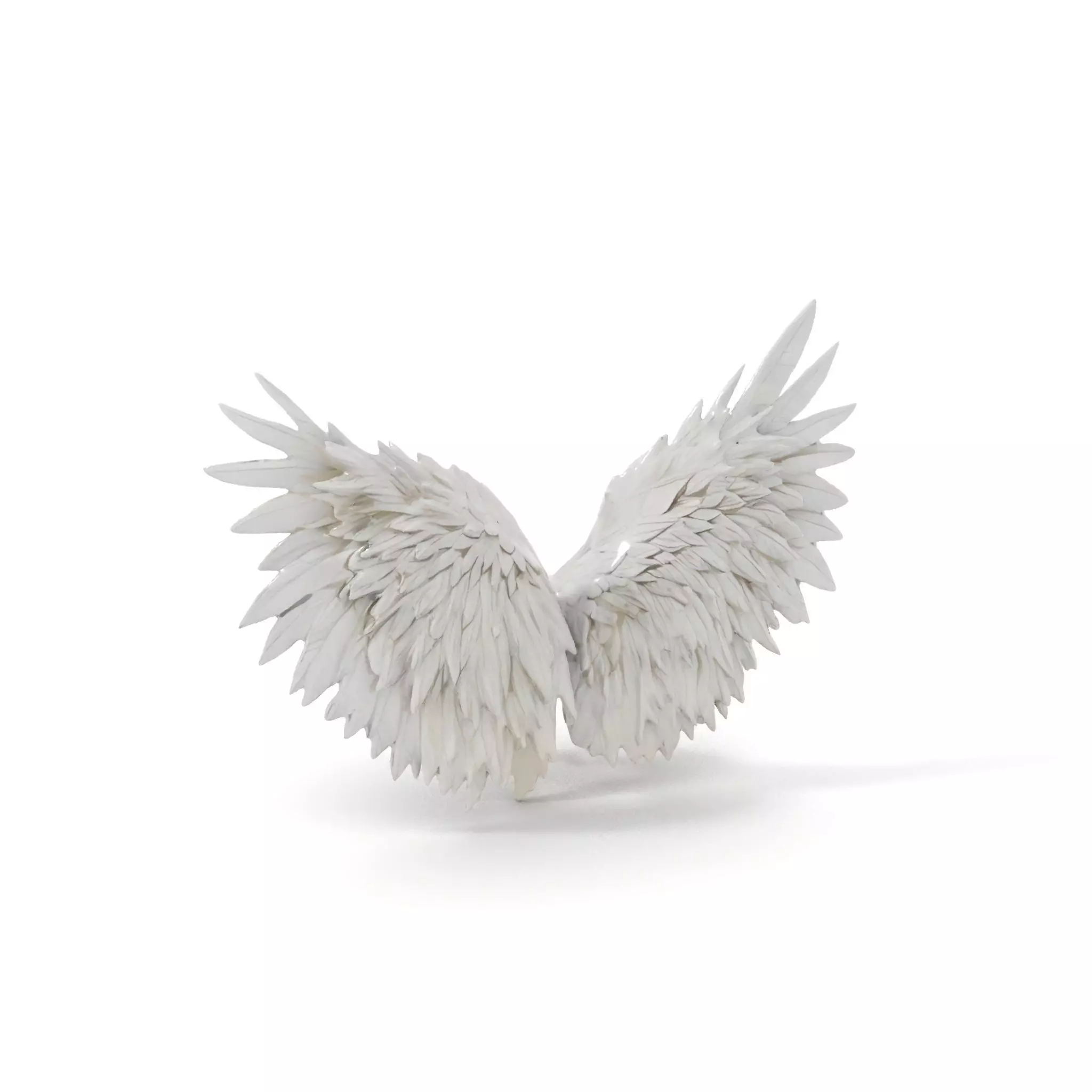 Elegant White Angel Wings model pack Low-poly 3D model_0
