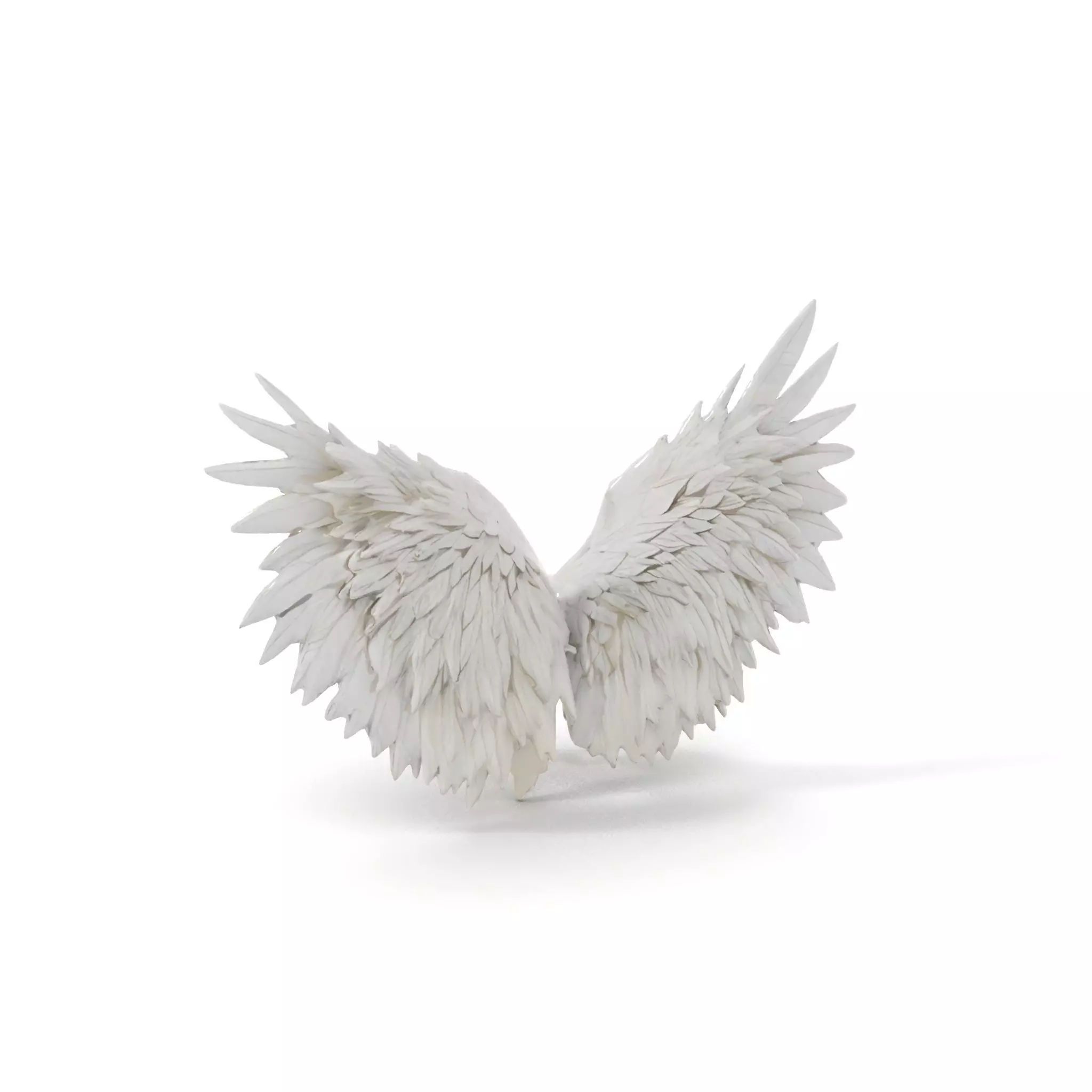 Elegant White Angel Wings model pack Low-poly 3D model_10