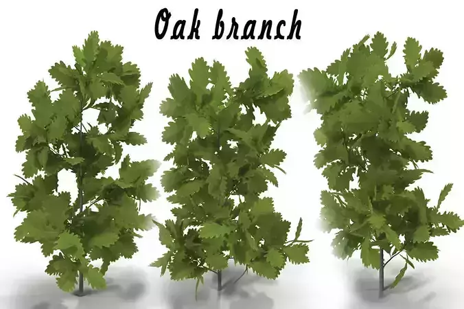 Oak branch 3D model