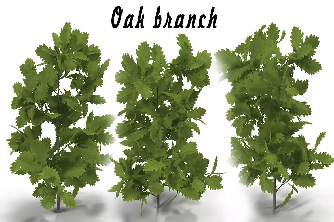 Oak branch 3D model_0