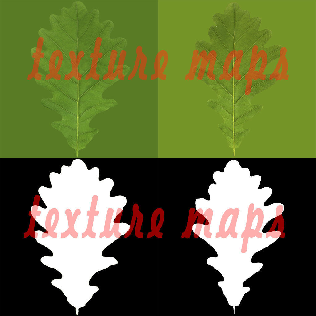 Oak branch 3D model_8