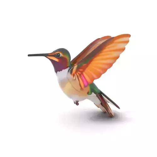 Iridescent Hummingbird model pack