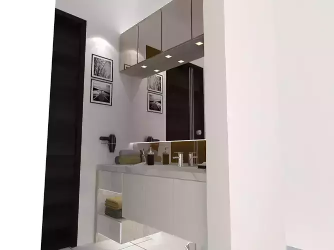 Apartment Basin Area