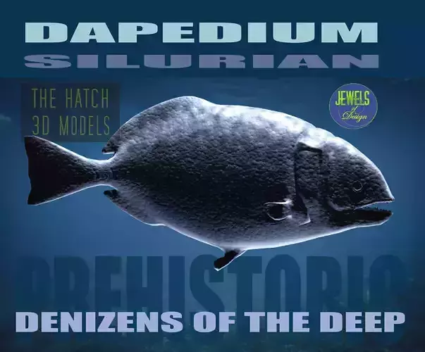 Dapedium puffer fish 3D model