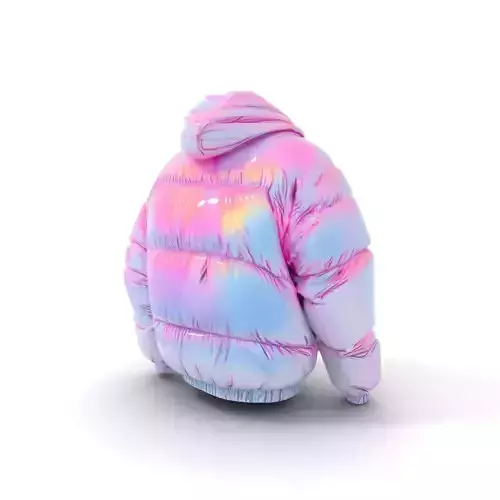 Iridescent Puffer Jacket model pack Low-poly 3D model