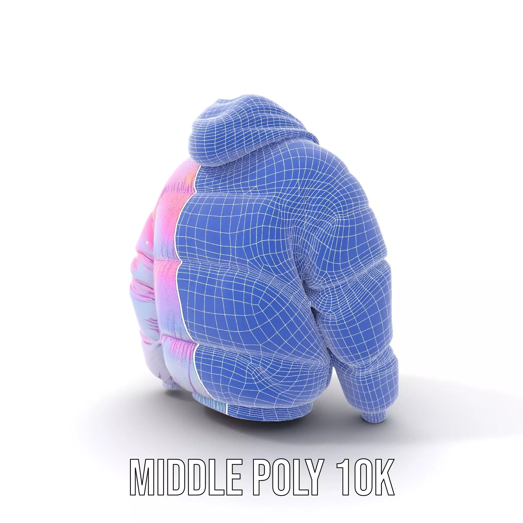Iridescent Puffer Jacket model pack Low-poly 3D model_19