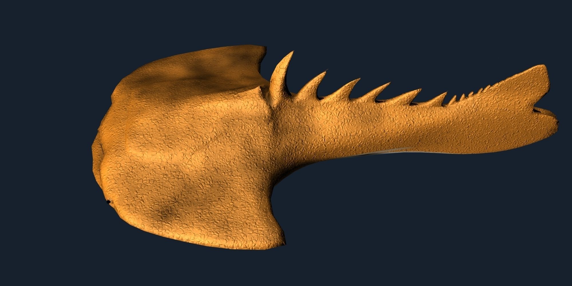 Drepanaspis Low-poly 3D model_5