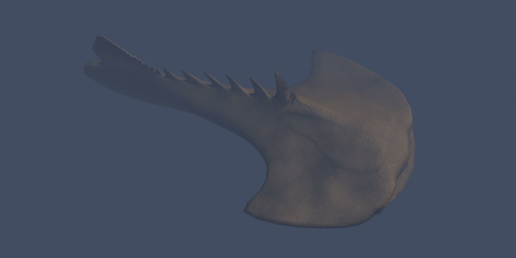 Drepanaspis Low-poly 3D model_4