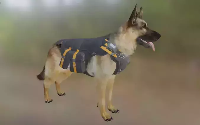 Dog   jerman seaford 