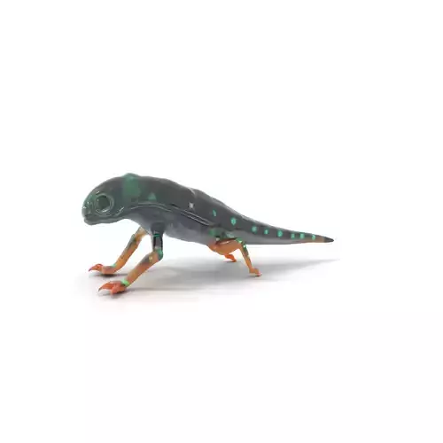Glowing Salamander model pack Low-poly 3D model