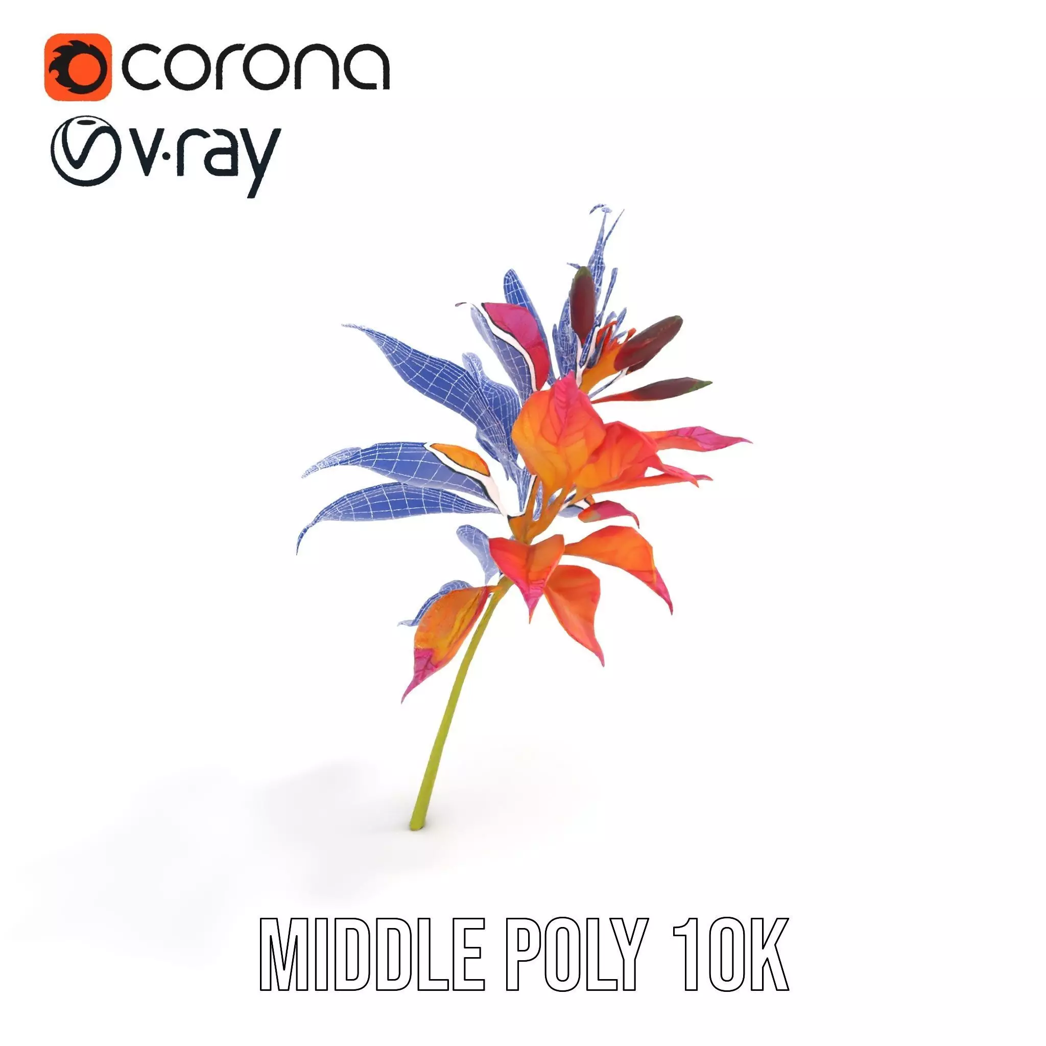 Vibrant Floral Arrangement model pack Low-poly 3D model_19